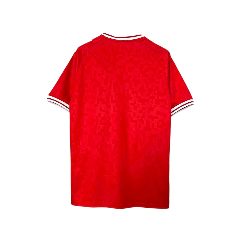 Denmark 24/25 Home Stadium Kit