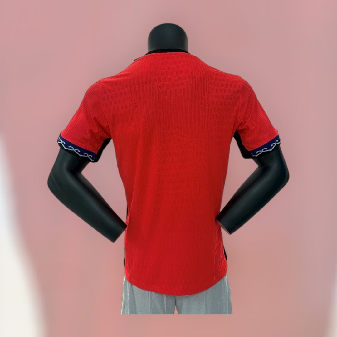 South Korea 25/26 Home Pro Version Kit