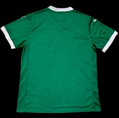 Palmeiras 25/26 Home Stadium Kit