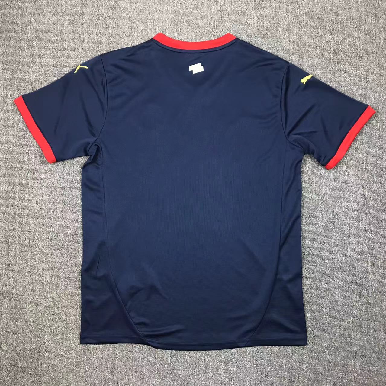 Girona FC 24/25 Away Stadium Kit