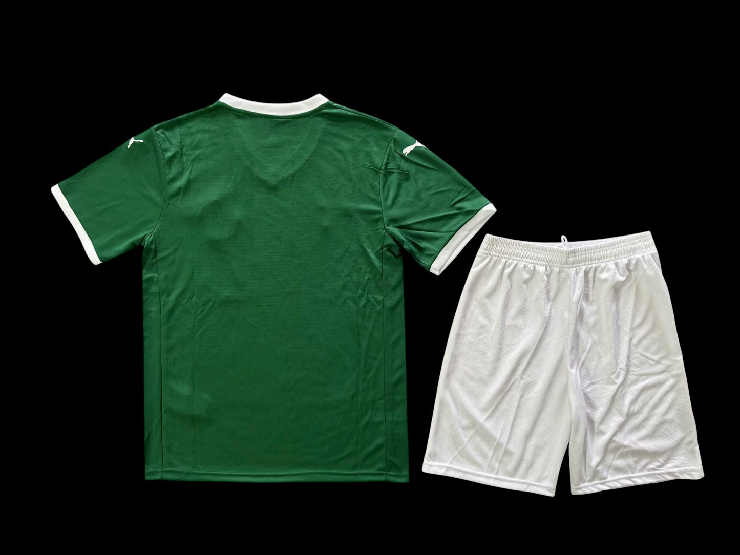 Palmeiras 25/26 Home Adult Full Kit
