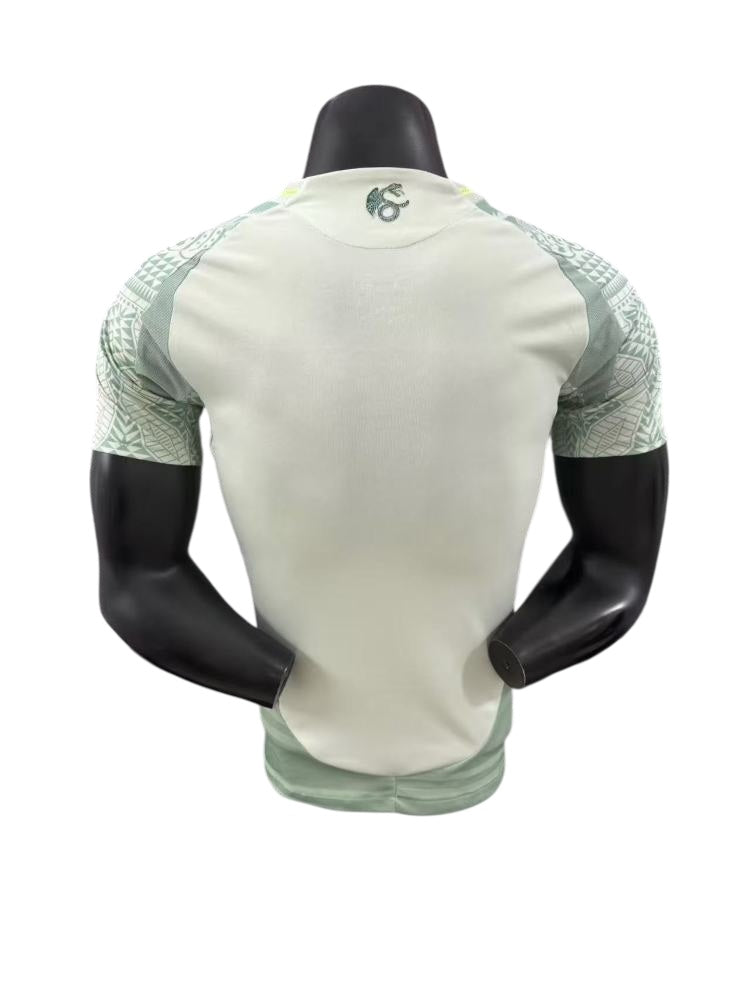 Mexico 24/25 Home Pro Version Kit