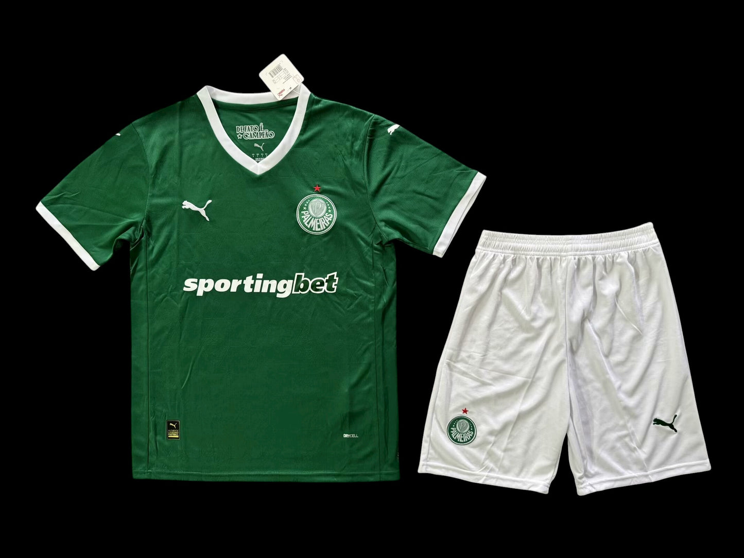 Palmeiras 25/26 Home Adult Full Kit