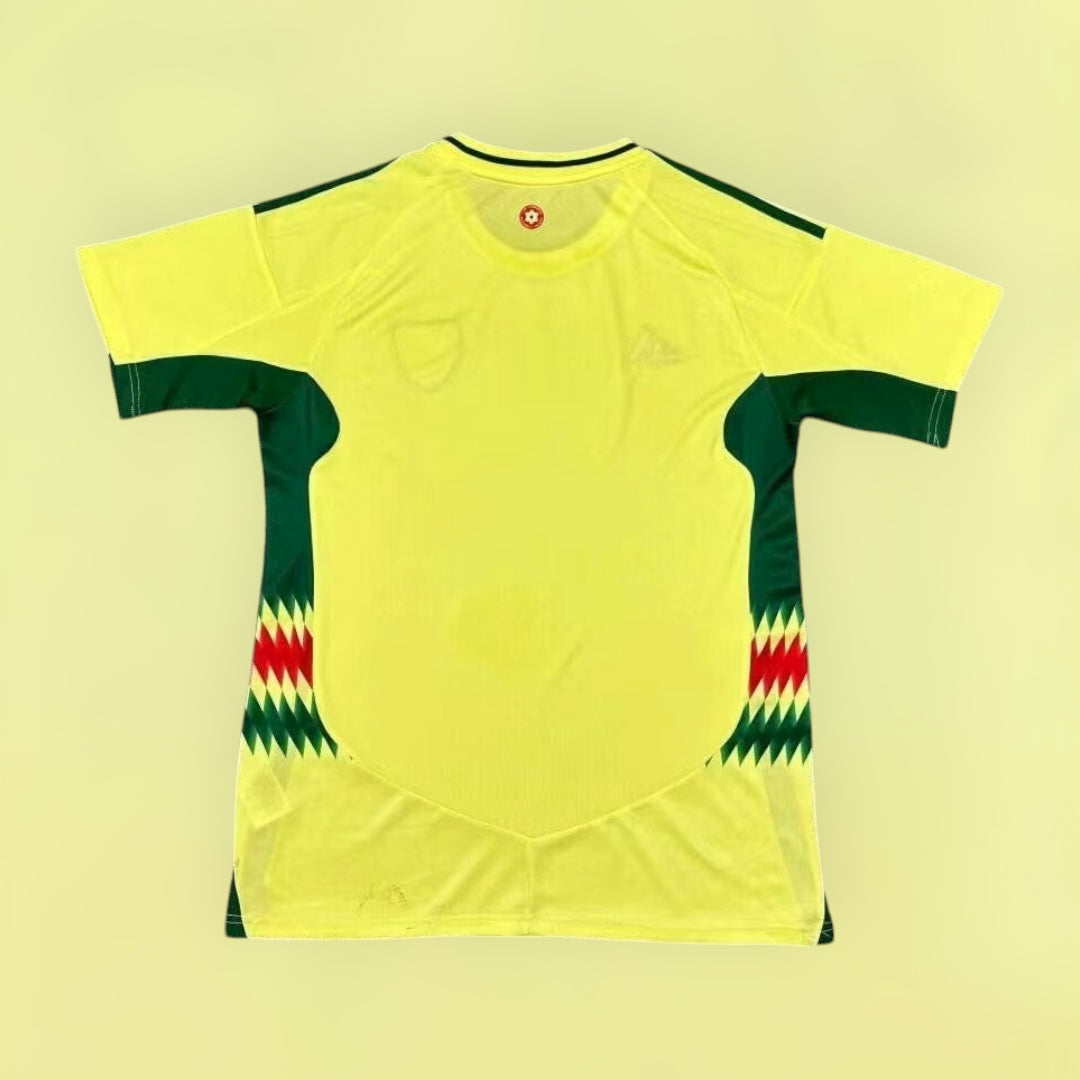 Wales 25/26 Away Stadium Kit