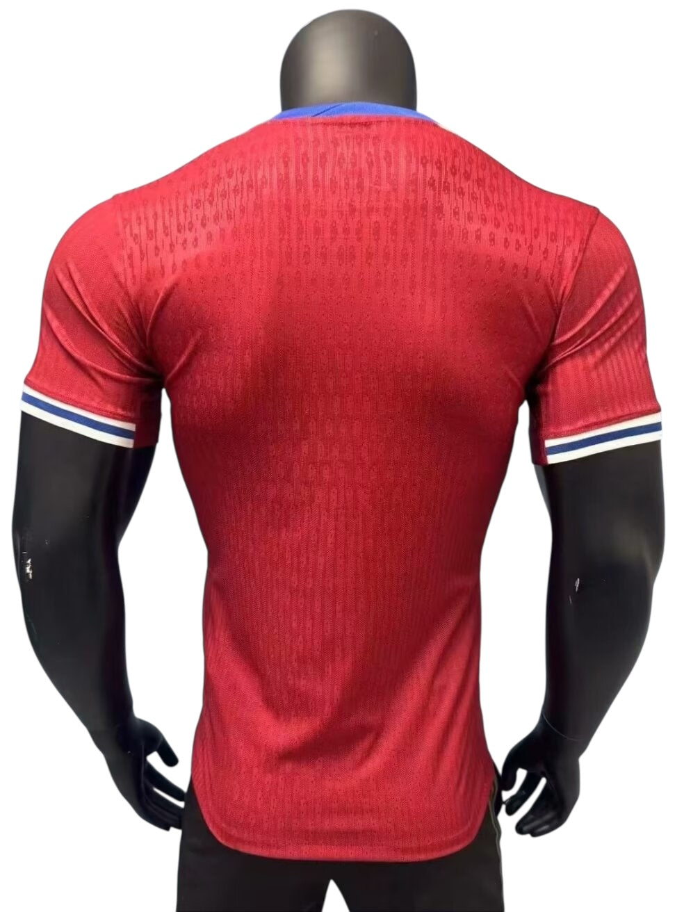 Norway 24/25 Home Pro Version Kit