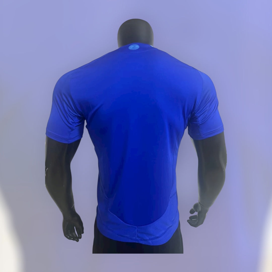 Argentina 24/25 Away Pro Version Kit