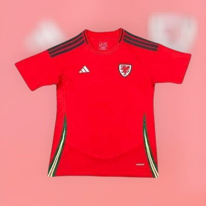 Wales 25/26 Home Stadium Kit