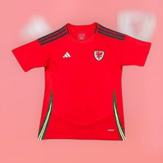 Wales 25/26 Home Stadium Kit
