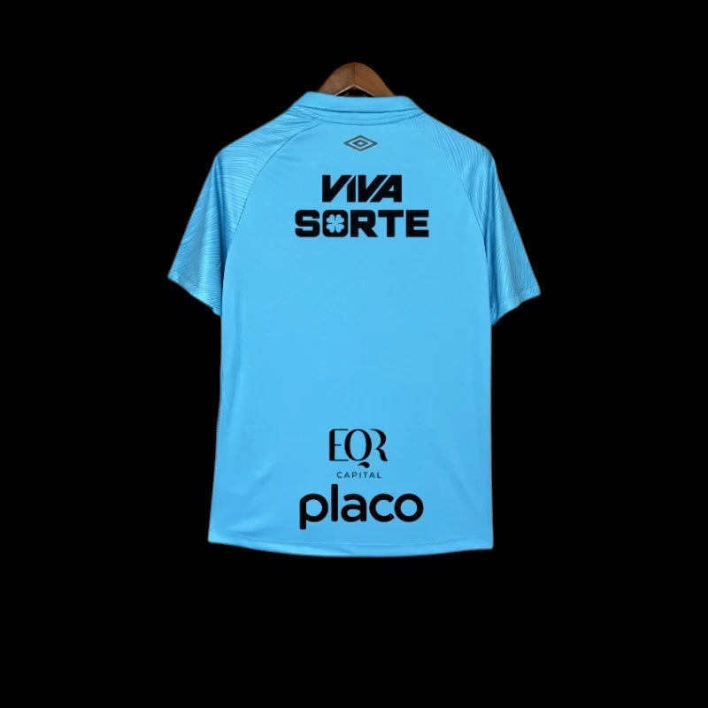 Santos FC 25/26 Away 3rd Stadium Kit