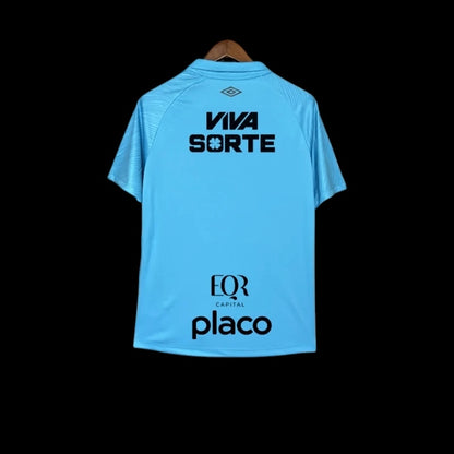 Santos FC 25/26 Away 3rd Stadium Kit