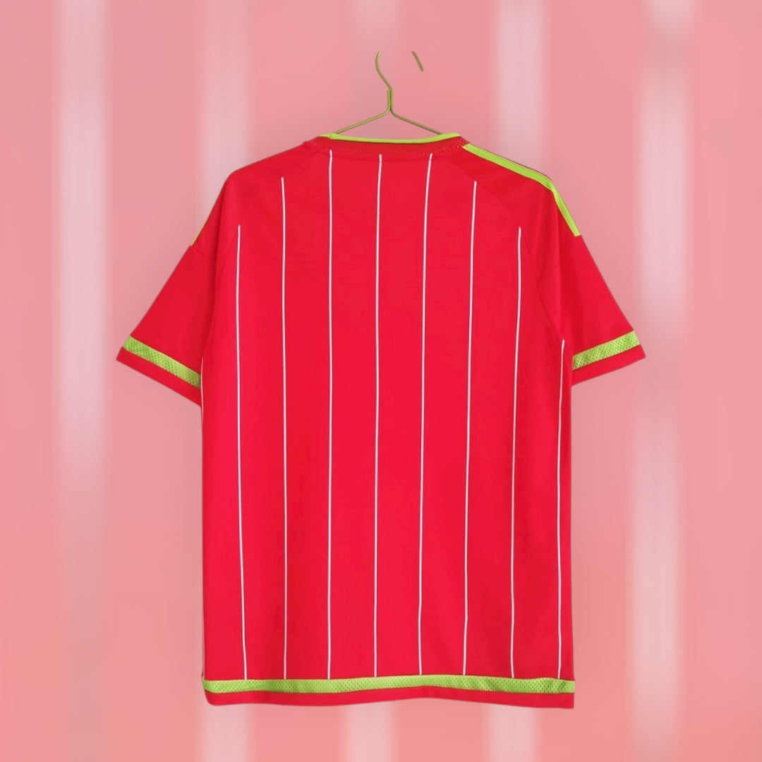 Wales 15/16 Home Retro Kit