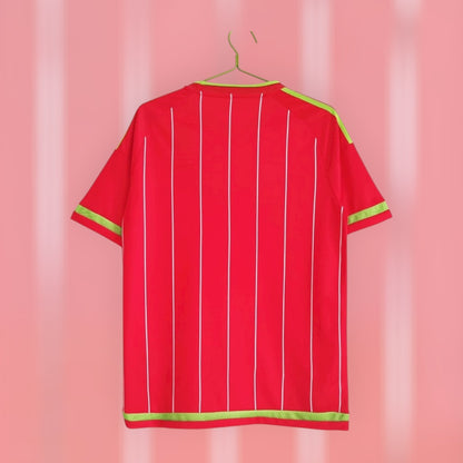 Wales 15/16 Home Retro Kit