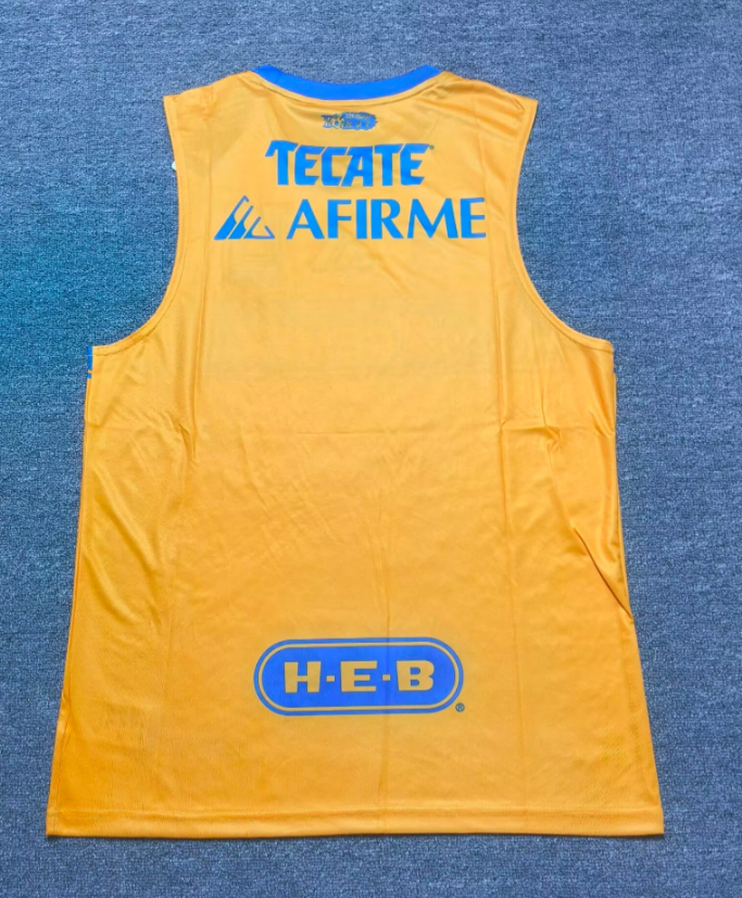 Tigres 25/26 Sleeveless Training Kit