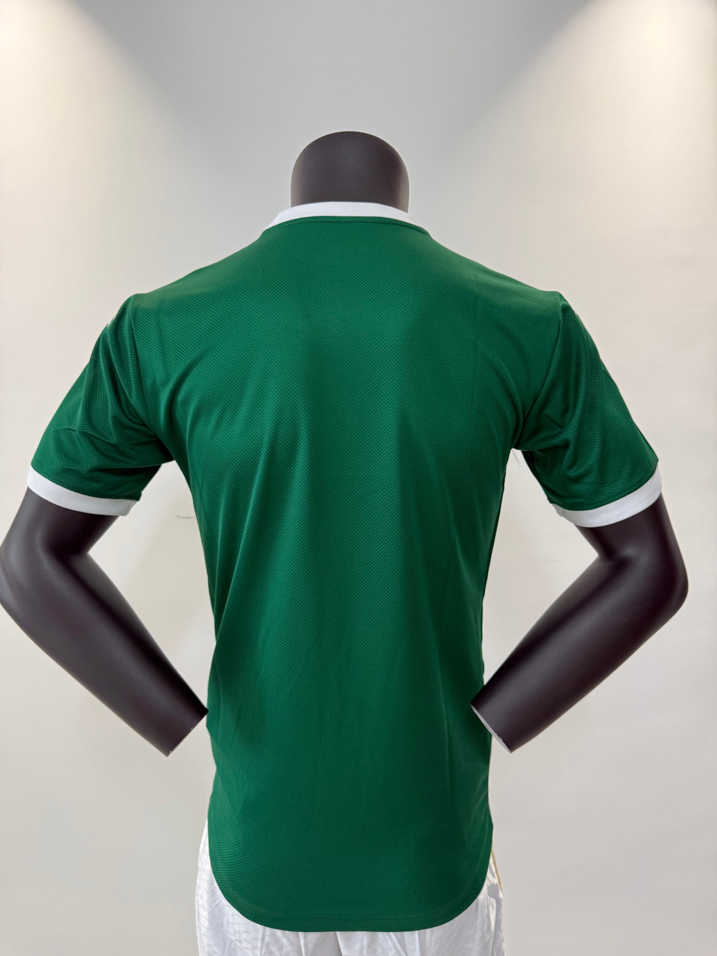Palmeiras 25/26 Home Pro Version Kit